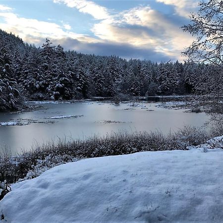 Otter'S Pond Bed And Breakfast Eastsound Экстерьер фото